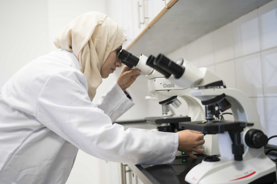 Members of the Forensic Science Lbaratory work at the biology screening section in Ramallah on 25-11-2019